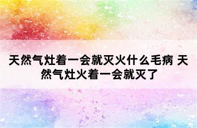 天然气灶着一会就灭火什么毛病 天然气灶火着一会就灭了